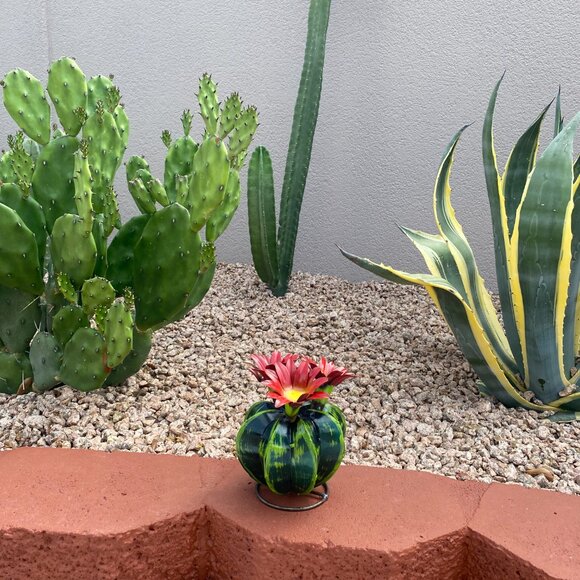 Handpainted Metal Mini Bisnaga Cactus Yard Art Garden Decor - Picture 4 of 14